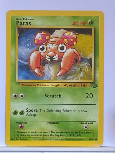 Paras jungle carte - jungle,