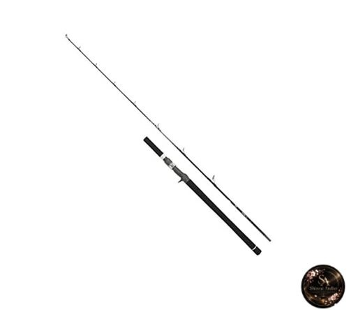 Canne pêche daiwa - canne,