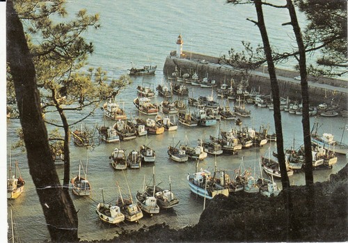 Carte postale 10cmx15cm - postale,