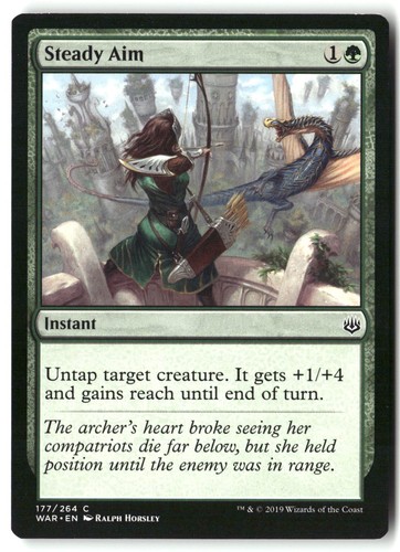 Steady aim 177 - 177, of