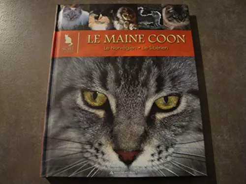 Petites verrines entre amis - verrines,