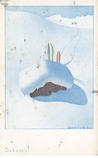 SAMIVEL  illustrateur  schuss