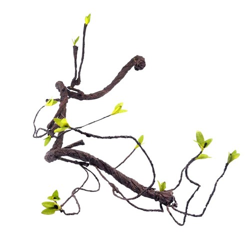 Gecko vines vivarium - vines,