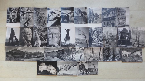 Lot noir et blanc - 29, cp