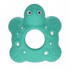 Mam Dentaruolo Bob La Tortue