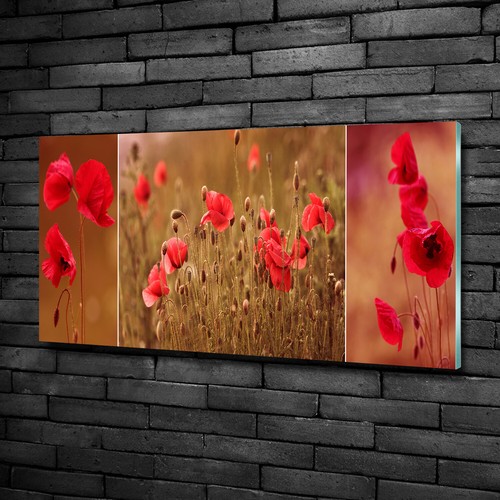 Tulup image sur verre - image,