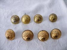 Lot 8 boutons dorés +