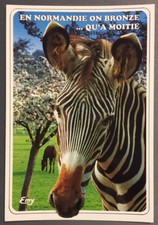 Carte postale Humoristique - EN NORMANDIE ON BRONZE ... QU'A MOITIE  (246)