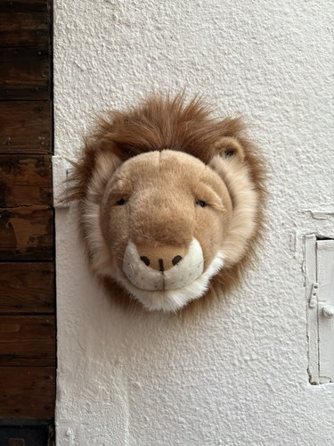 Tête lion peluche à - tête,
