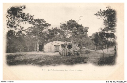 Bagp6 0733 la foret - -,