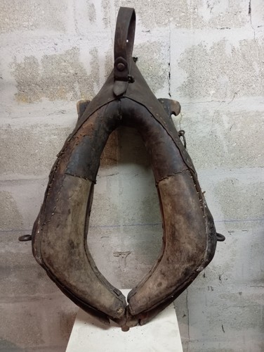 Collier harnais de - (collier),
