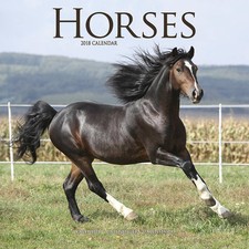 Calendrier 2018 - CHEVAUX