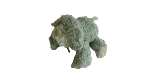 Doudou peluche chien - doudou,