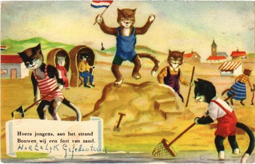 Cats hoera jongens - jongens,, aan