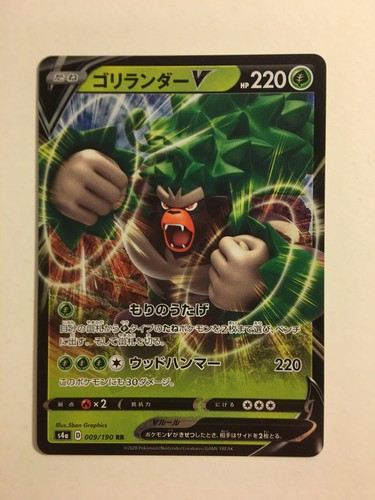Pokemon card carte rillaboom - card,