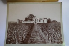 CHÂTEAU LAFAURIE-PEYRAGUEY VIN SAUTERNE photographie ancienne projet étiquette