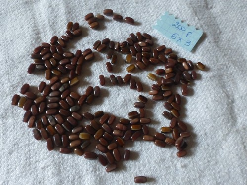 Lot 200 perle ancienne - perle, en