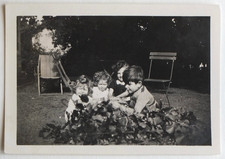 Enfants jardin, transats, nature, feuillages - Photo ancienne snapshot