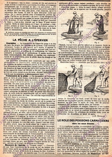 Peche epervier article - l, de
