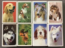 Lot de 8 boîtes d'allumettes