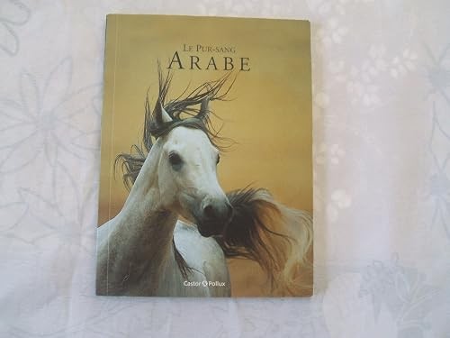 Pur sang arabe galletier - -,