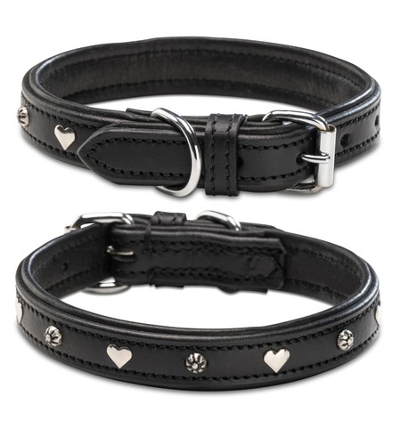 Collier pour chien cuir - collier,