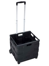 [8046126] pavo Chariot de