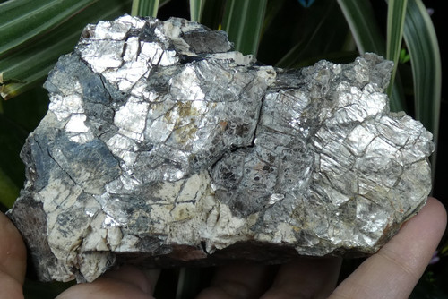Mica noir biotite gris - mica,