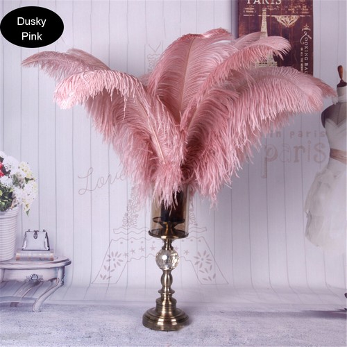 Plumes autruche qualité - plumes,