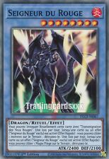 Yu-Gi-Oh! Seigneur du Rouge : DLCS-FR067 C