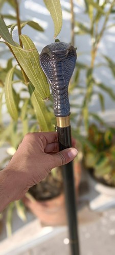 Ancien bâton marche canne - bâton,