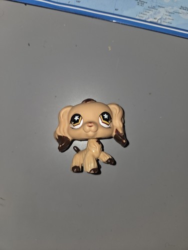 Authentic littlest pet shop - authentic,