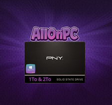 Disque Dur PNY 1To avec Pack AllOnPC (Nintendo Switch, Wii & GameCube)