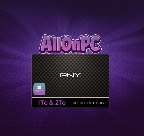Disque dur pny 1to - disque,