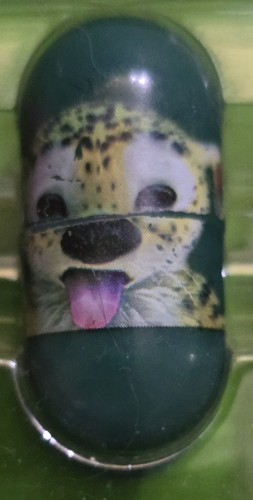 Marsupilami sur piste du - /,