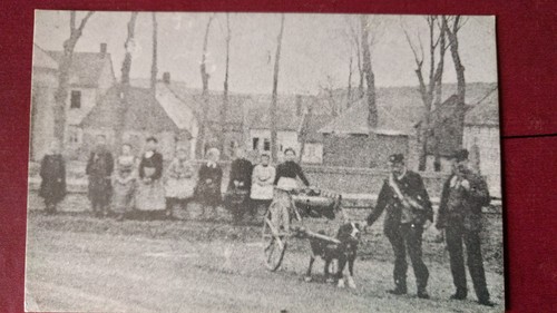 Reproduction une cpa - d'une,
