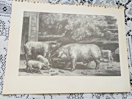 Antique art print - art,