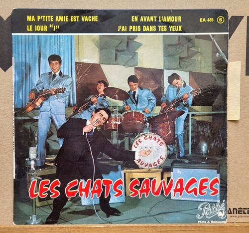 Les chats sauvages - 45, –