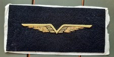 Ailes WW2 1940 Uniforme Armée