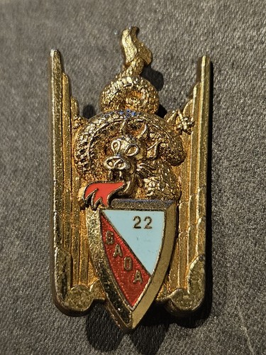 Insigne pucelle militaire - pucelle,