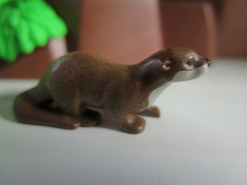 Loutre animal sauvage animaux - loutre,