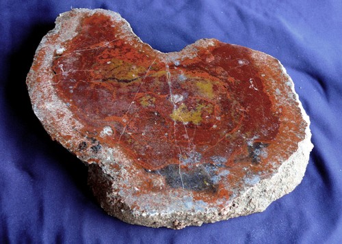 Fossile fiente de - de,