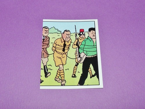 163 panini tintin herge - panini,