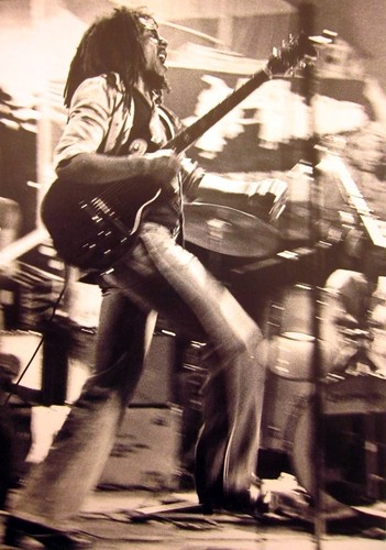 Bob marley reggae wailers - reggae,