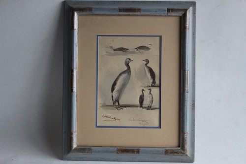 Aquarelle oiseau lac - oiseau, peintre