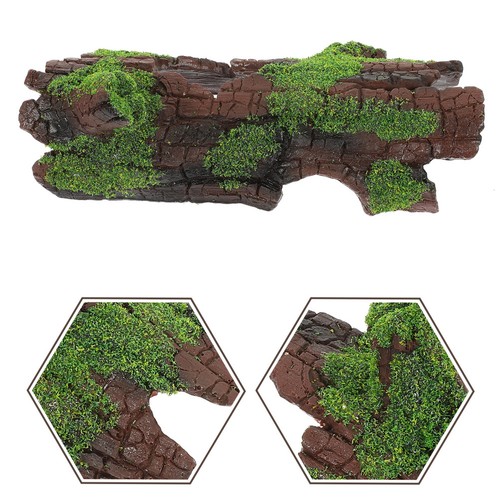 Tortue decoration accessoire - tortue,
