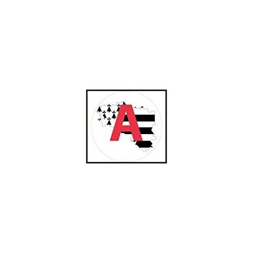 Jeune conducteur apprenti - jeune,