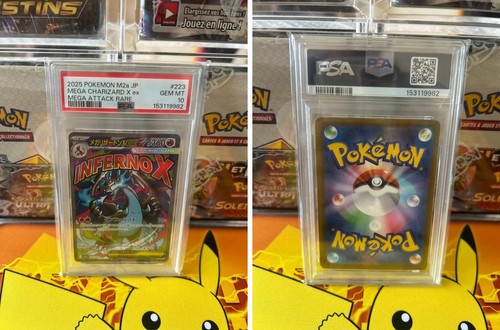 Mega dracaufeu charizard ex - dracaufeu,