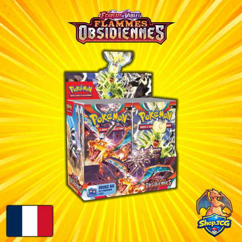 Pokémon display ev3 flammes - pokémon,