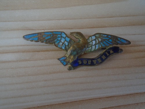 Insigne militaire souvenir